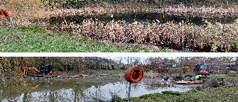 Pond-weed-removal-image