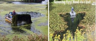 invasive-pond-weed-machines-image